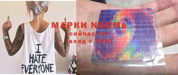 индика Арсеньев