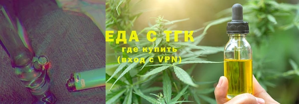 стаф Аркадак