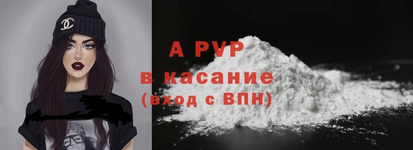 индика Арсеньев
