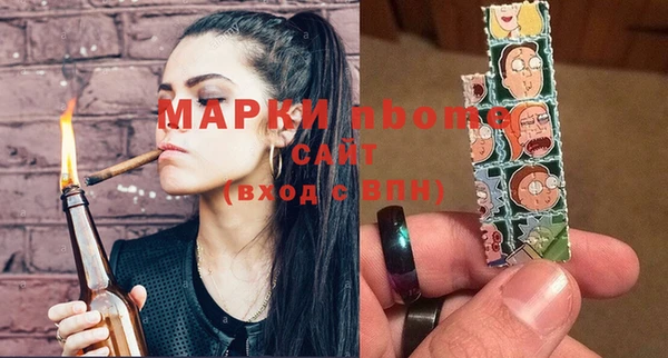 индика Арсеньев