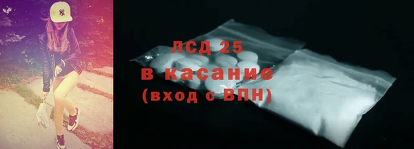 индика Арсеньев
