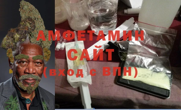 стаф Аркадак