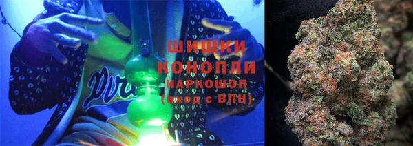 индика Арсеньев