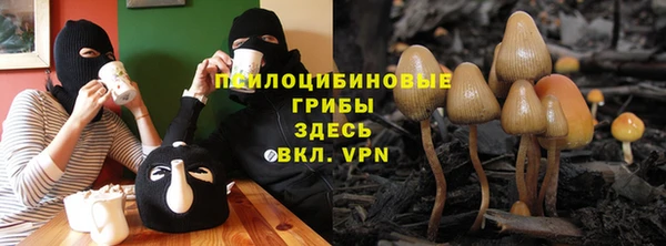 индика Арсеньев