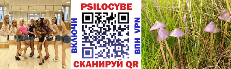 Псилоцибиновые грибы GOLDEN TEACHER  Тарко-Сале 